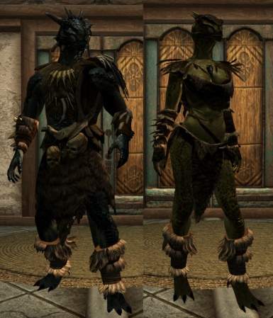 skyrim top female armor mods